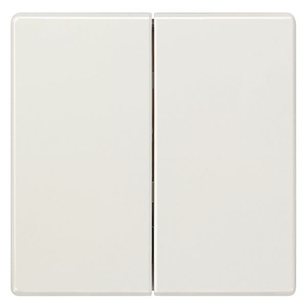 SIEMENS - DELTA style Wippe 2-fach neutral für Serienschalter, titanweiß