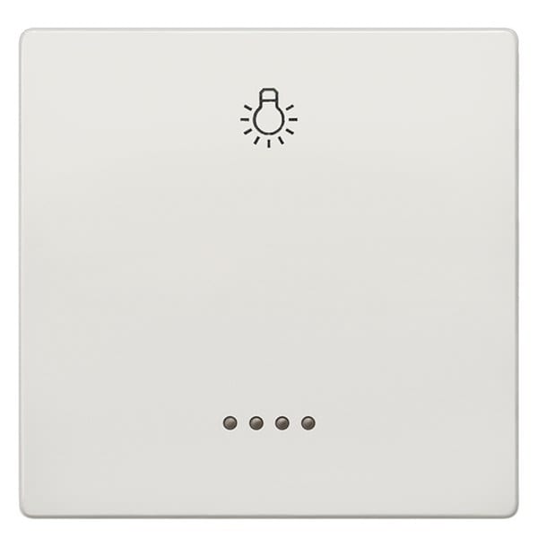 SIEMENS - DELTA style Wippe mit Fenster und Symbol Licht, platinmetallic
