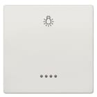 SIEMENS - DELTA style Wippe mit Fenster und Symbol Licht, platinmetallic