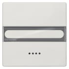 SIEMENS - DELTA style Wippe mit Fenster und Schriftfeld, platinmetallic