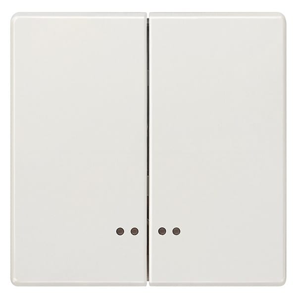 SIEMENS - DELTA style Wippe 2-fach mit Fenster für Serienschalter, platinmetallic