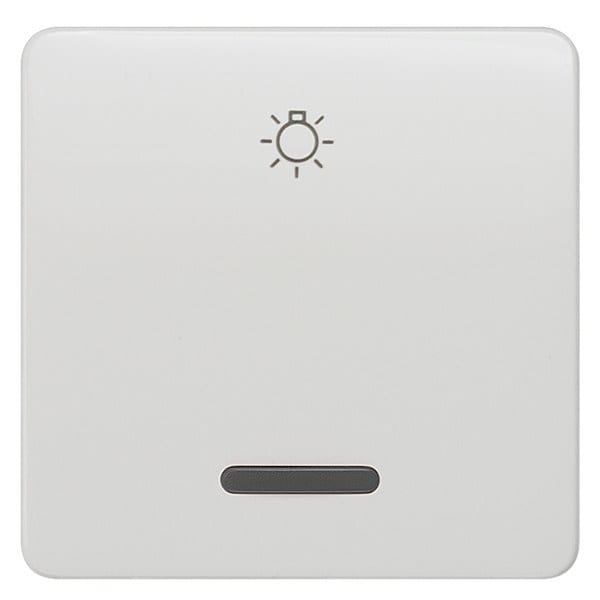 SIEMENS - DELTA profil Wippe mit Fenster und Symbol Licht, titanweiß