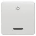 SIEMENS - DELTA profil Wippe mit Fenster und Symbol Licht, titanweiß