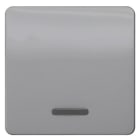 SIEMENS - DELTA profil Wippe mit Fenster für Kontroll-/Aus-/Wechselschalter, silber