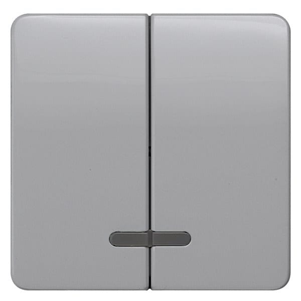 SIEMENS - DELTA profil Wippe 2-fach mit Fenster für Serienschalter, silber