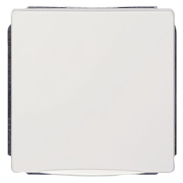 SIEMENS - DELTA style SCHUKO-Steckdose mit Klappdeckel, platinmetallic