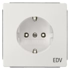 SIEMENS - DELTA style Steckdose mit Bedruckung EDV, platinmetallic