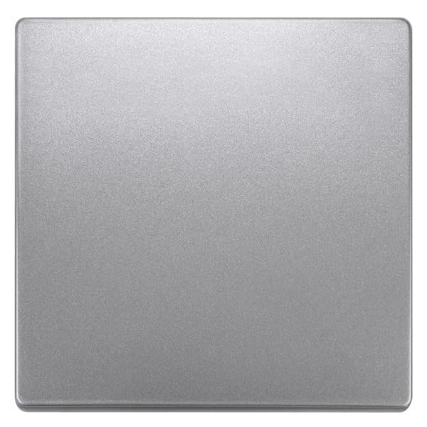 SIEMENS - DELTA style Wippe neutral, platinmetallic