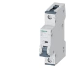 SIEMENS - Leitungsschutzschalter Allstrom DC 220V AC 230/400V 10kA, 1-polig, B, 63A