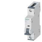 SIEMENS - Leitungsschutzschalter 230/400V 6kA, 1-polig, B, 32A, T=70mm