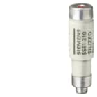 SIEMENS - NEOZED-Sicherungseinsatz, D01, 10 A, gR, Un AC: 400 V, Un DC: 250 V, SILIZED