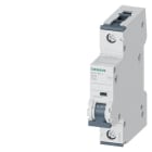 SIEMENS - Leitungsschutzschalter 230/400V 10kA, 1-polig, C, 80A, T=70mm