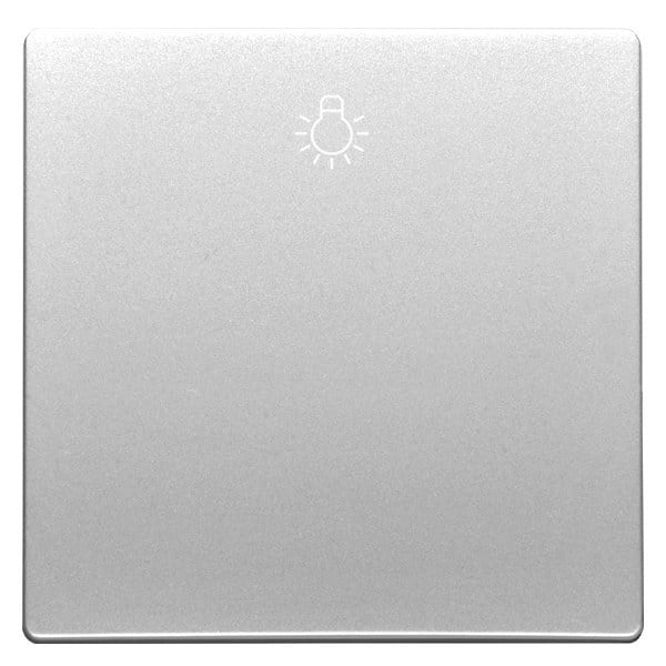SIEMENS - DELTA style Wippe mit Symbol Licht, platinmetallic
