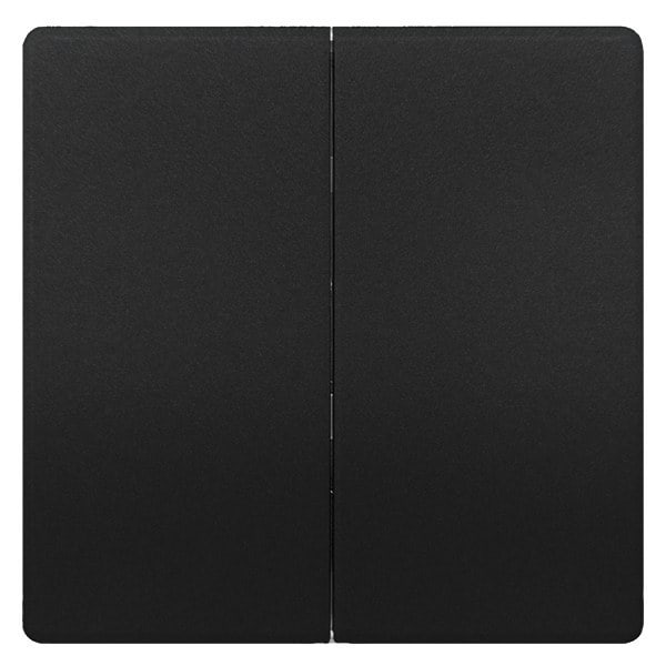 SIEMENS - DELTA style Wippe 2-fach neutral für Serienschalter, anthrazit
