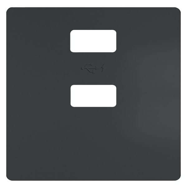 SIEMENS - DELTA style Abdeckplatte für Doppel-USB-Ladegerät vertikal, carbonmetallic