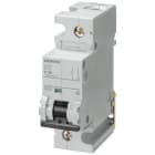 SIEMENS - Leitungsschutzschalter DC 220V 10kA, 1-polig, C, 100A