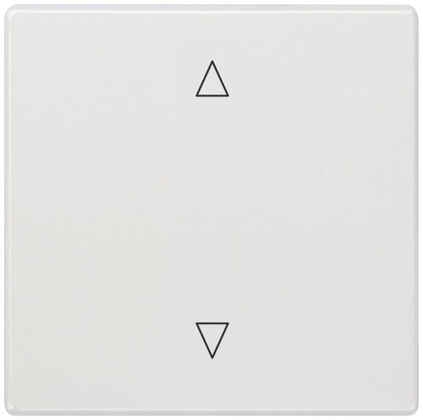 SIEMENS - DELTA style Wippe, Symbol Pfeile, titanweiß