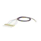 METZ CONNECT - OpDAT Pigtail LC-PC 0,9mm STB OM5 2m 8Frb/890842R1JO20-8