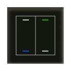 MDT - KNX Glastaster II Light 2-fach, RGBW, Temperatursensor, Schwarz, Neutral