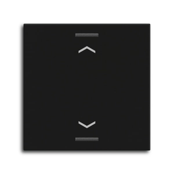 MDT - MDT Wippe für KNX Taster Light 55 1-fach, Schwarz matt, Jalousie