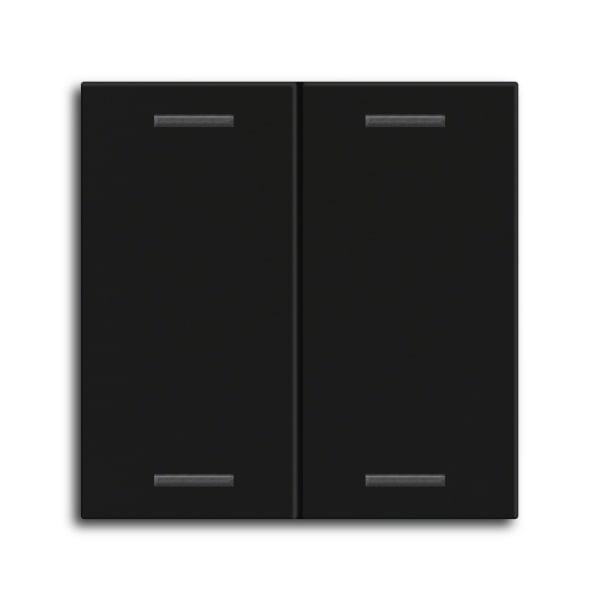 MDT - MDT Wippe für KNX Taster Light 55 2-fach, Schwarz matt, Neutral