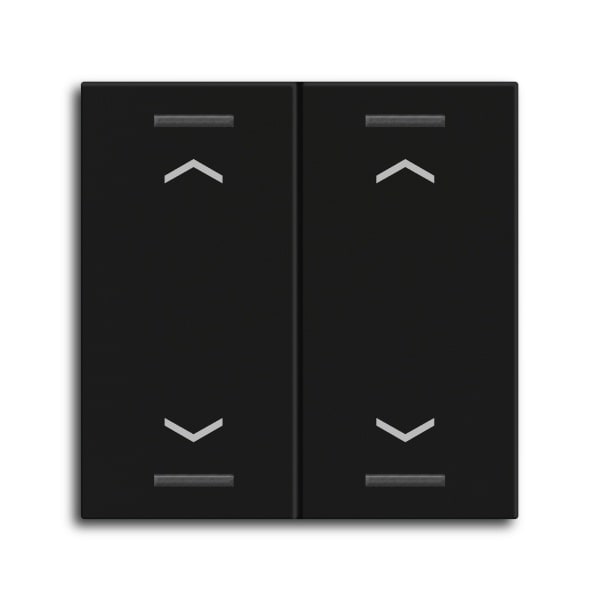 MDT - MDT Wippe für KNX Taster Light 55 2-fach, Schwarz matt, Jalousie