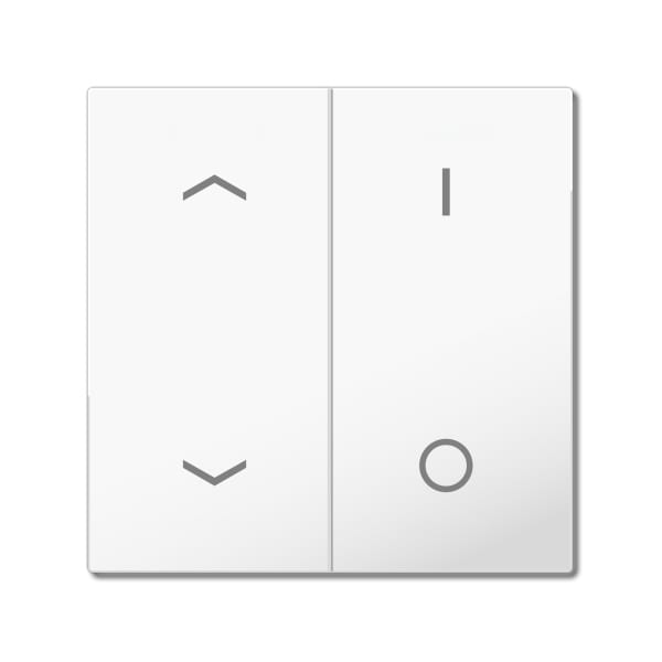 MDT - MDT Wippe für KNX Taster Light 55 Basic 2-fach, Reinweiß glänzend, Jalousie_Schalten