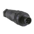 TELEMECANIQUE - M12-Stecker, 4-polig, gerade, Kabelverschraubung Pg 7