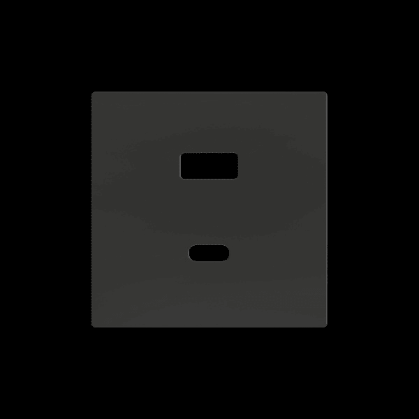 ZENNIO - ZS55. Abdeckplatte für Zweifach-USB-Ladegerät C+A 55x55mm-Schwarz