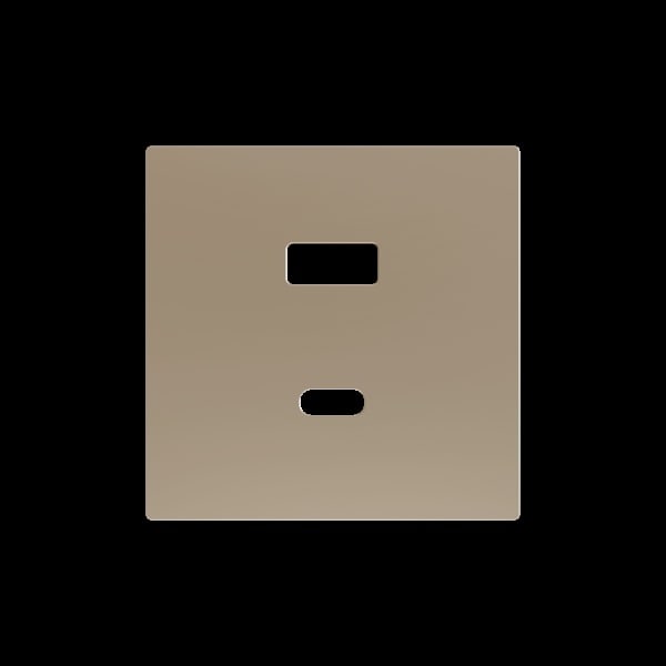 ZENNIO - ZS55. Abdeckplatte für Zweifach-USB-Ladegerät C+A 55x55mm-Champagne