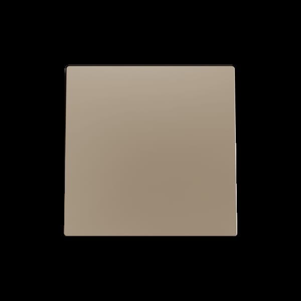 ZENNIO - ZS55. Einfachschalterabdeckung 55x55 mm - Champagne
