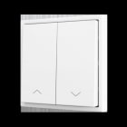 ZENNIO - ZS70. Soft Doppeltaster für 2 Binäreingänge 70x70 mm - Silber