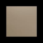 ZENNIO - ZS70. Blindabdeckung 70x70 mm - Champagne. Benötigt Metallplatte (ZACHOLD33), is