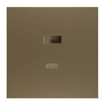 ZENNIO - ZS70. Abdeckplatte für Zweifach-USB-Ladegerät C+A 70x70 mm - Champagne